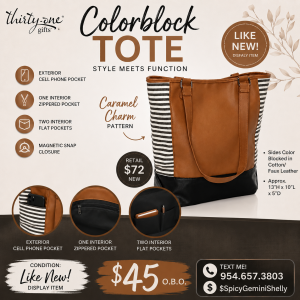 Thirty-One Gifts Colorblock Tote